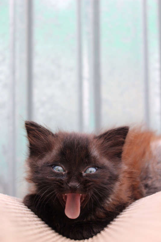 ... ����� ��������� ���������� �� PhotoGeek.ru #�������� ���