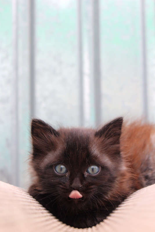 ... ����� ��������� ���������� �� PhotoGeek.ru #�������� ���