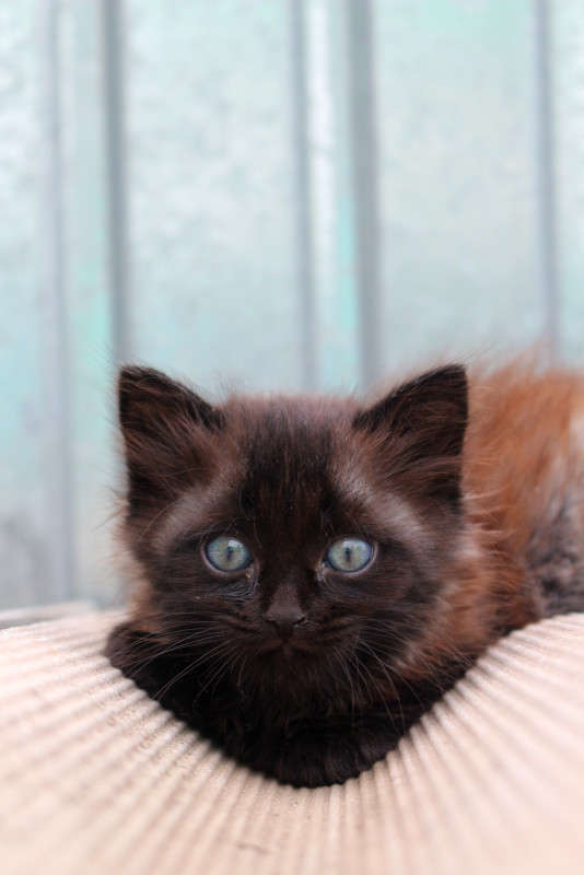 ������� ����� ��������� ���������� �� PhotoGeek.ru #�������� ���