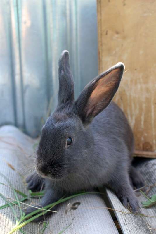 ������� ����� ��������� ���������� �� PhotoGeek.ru #�������� ���