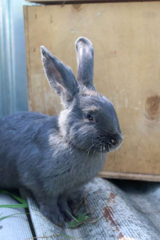 ... ����� ��������� ���������� �� PhotoGeek.ru #�������� ���