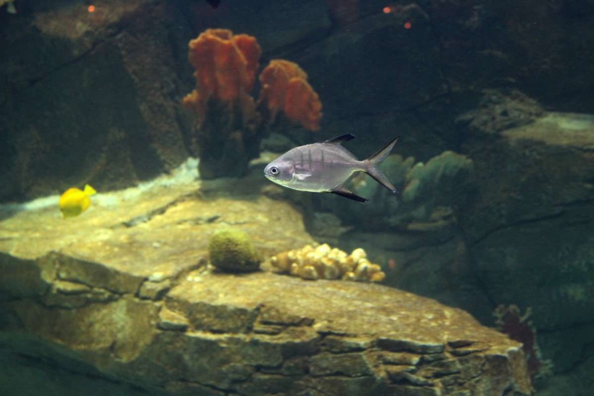 ... ����� ��������� ���������� �� PhotoGeek.ru #�������� ���