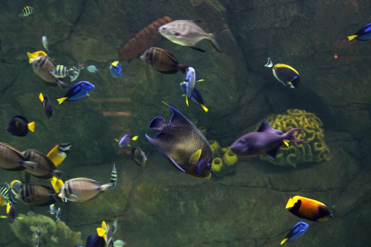 ����� ����� ��������� ���������� �� PhotoGeek.ru #�������� ���