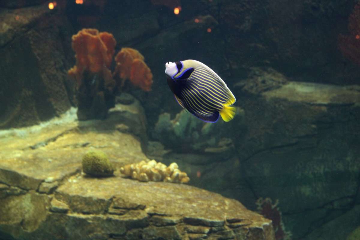 ���������))) ����� ��������� ���������� �� PhotoGeek.ru #�������� ���