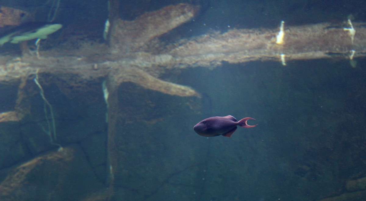 ... ����� ��������� ���������� �� PhotoGeek.ru #�������� ���