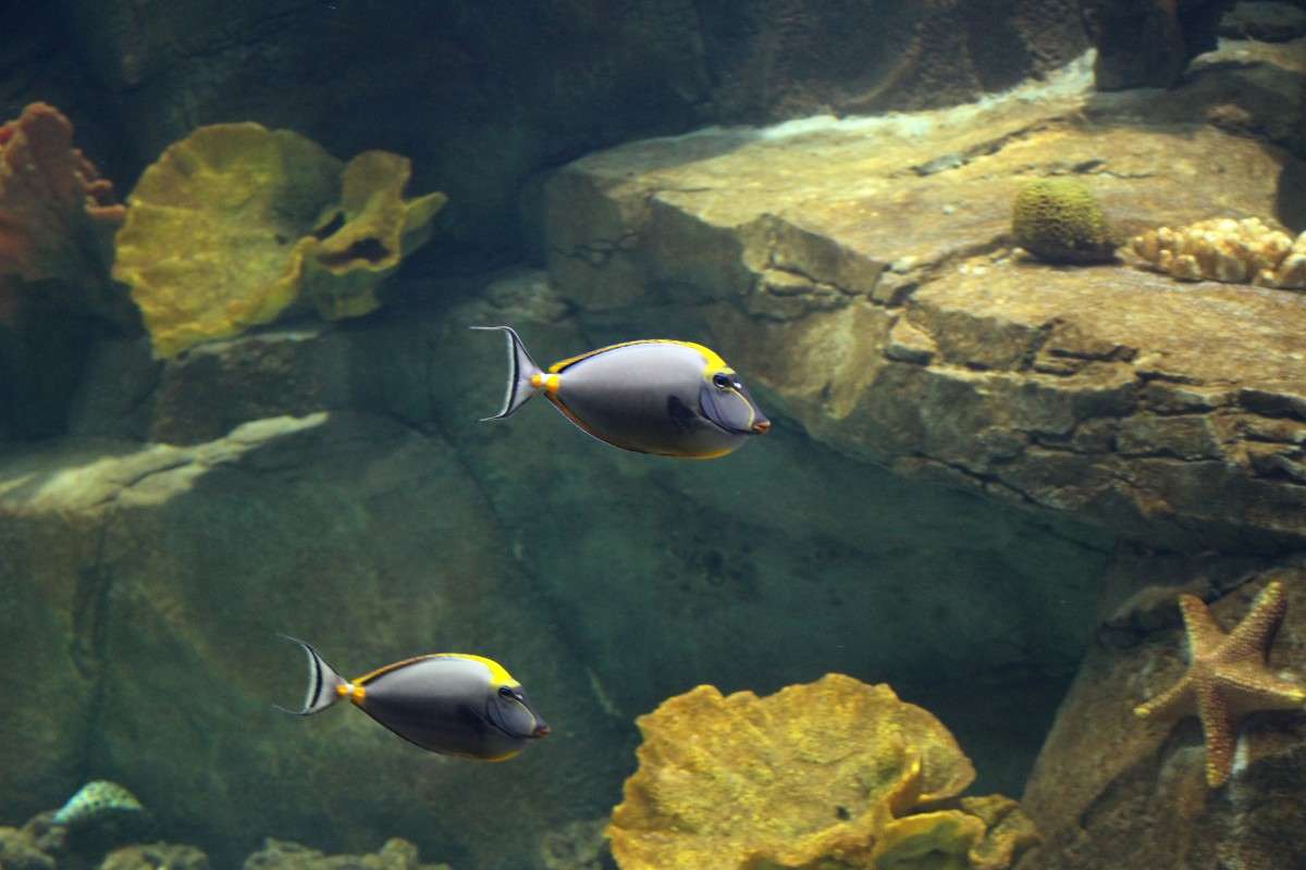 ... ����� ��������� ���������� �� PhotoGeek.ru #�������� ���