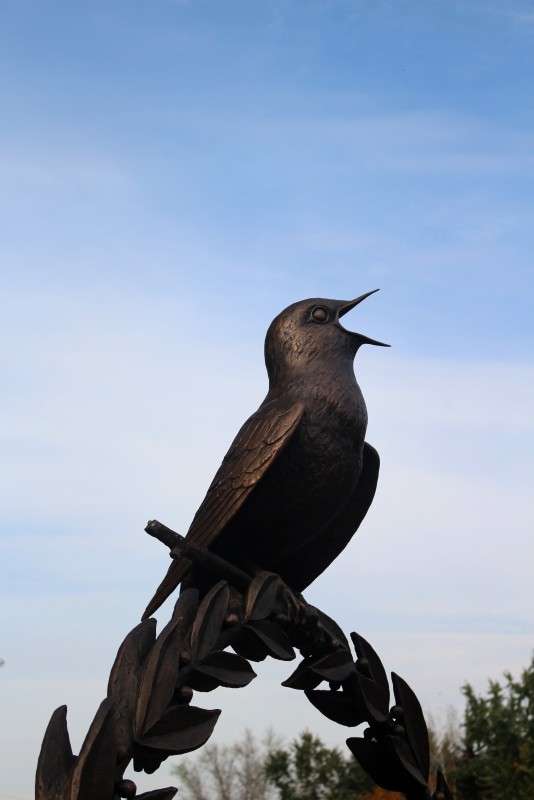 �������� �������� ������� ����� ��������� ���������� �� PhotoGeek.ru #����� #�����������