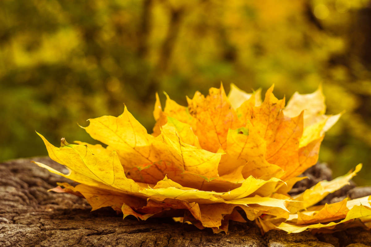 ... ����� ��������� ���������� �� PhotoGeek.ru #������ ��� ������� #����� ��������