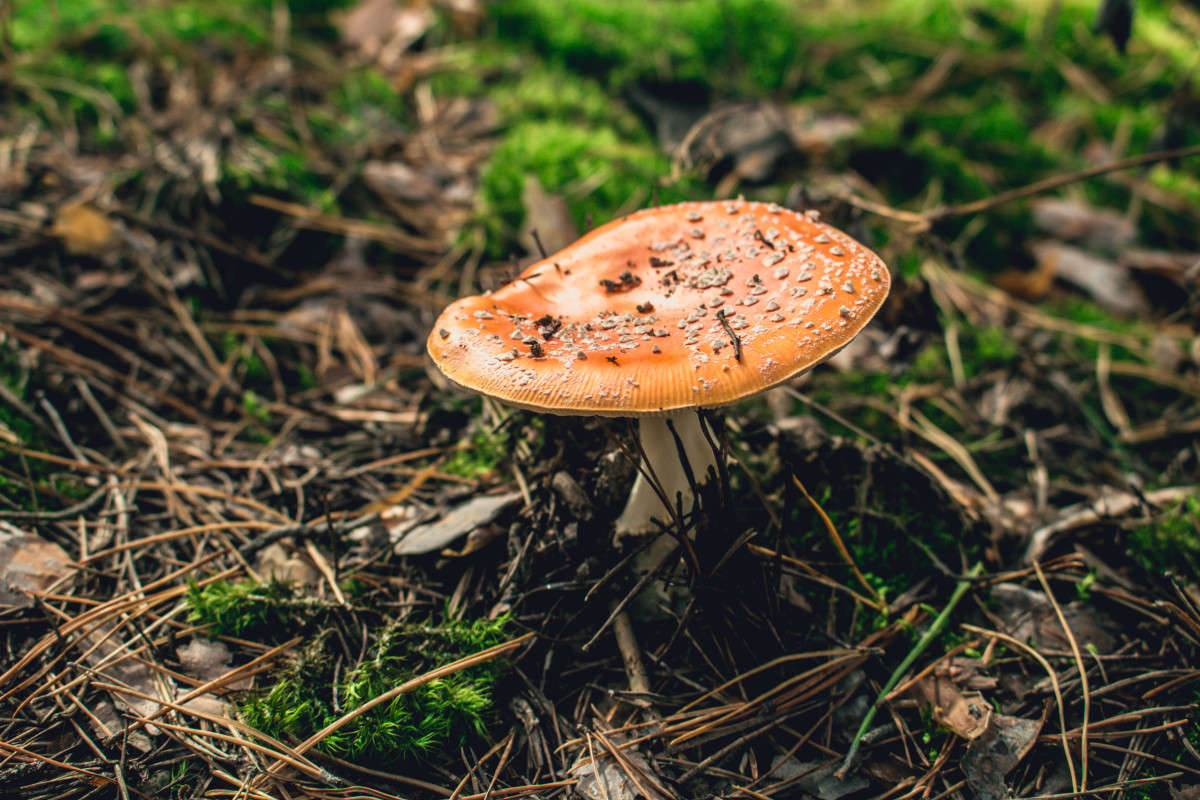 ������� ����� ��������� ���������� �� PhotoGeek.ru #������ ��� ������� #����� �������������� #����� ��������