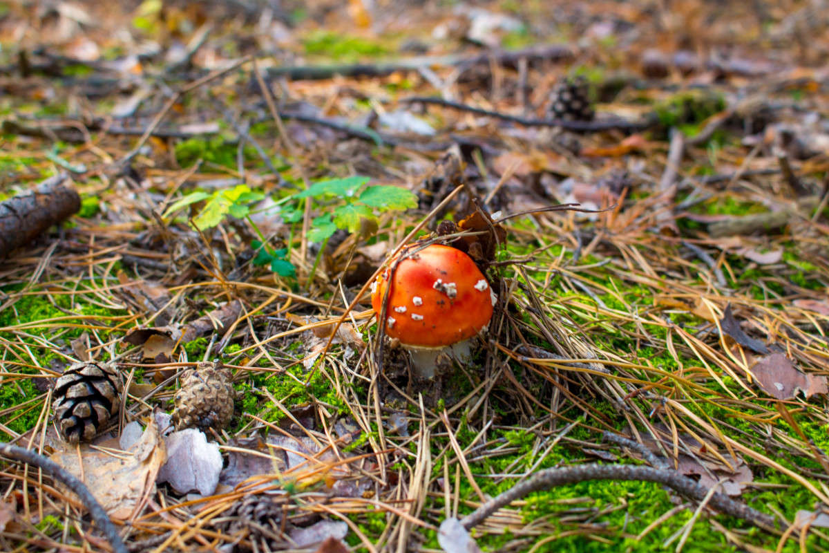 �����������... ����� ��������� ���������� �� PhotoGeek.ru #������ ��� ������� #����� ��������������