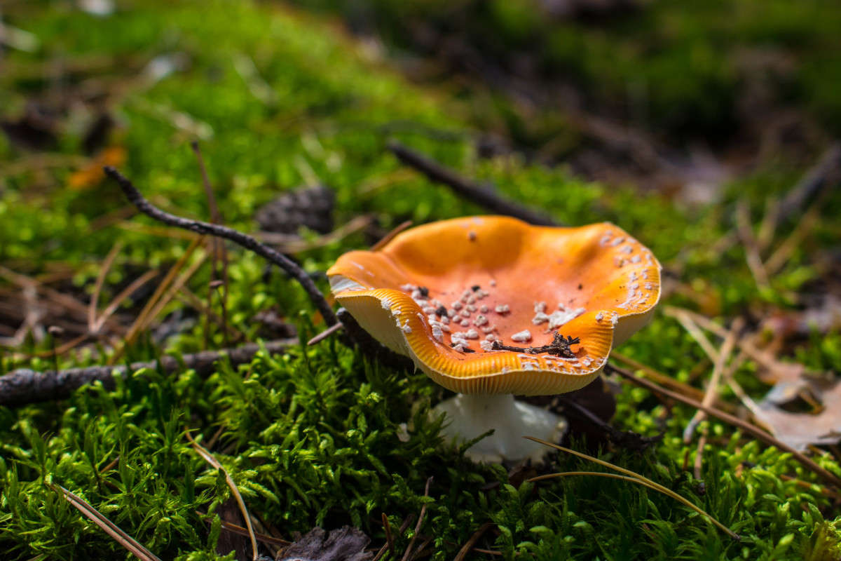 ����� "�������" ����� ��������� ���������� �� PhotoGeek.ru #������ ��� ������� #����� �������������� #����� ��������