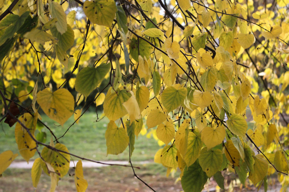 ... ����� ��������� ���������� �� PhotoGeek.ru #������ ��� ������� #����� ��������������