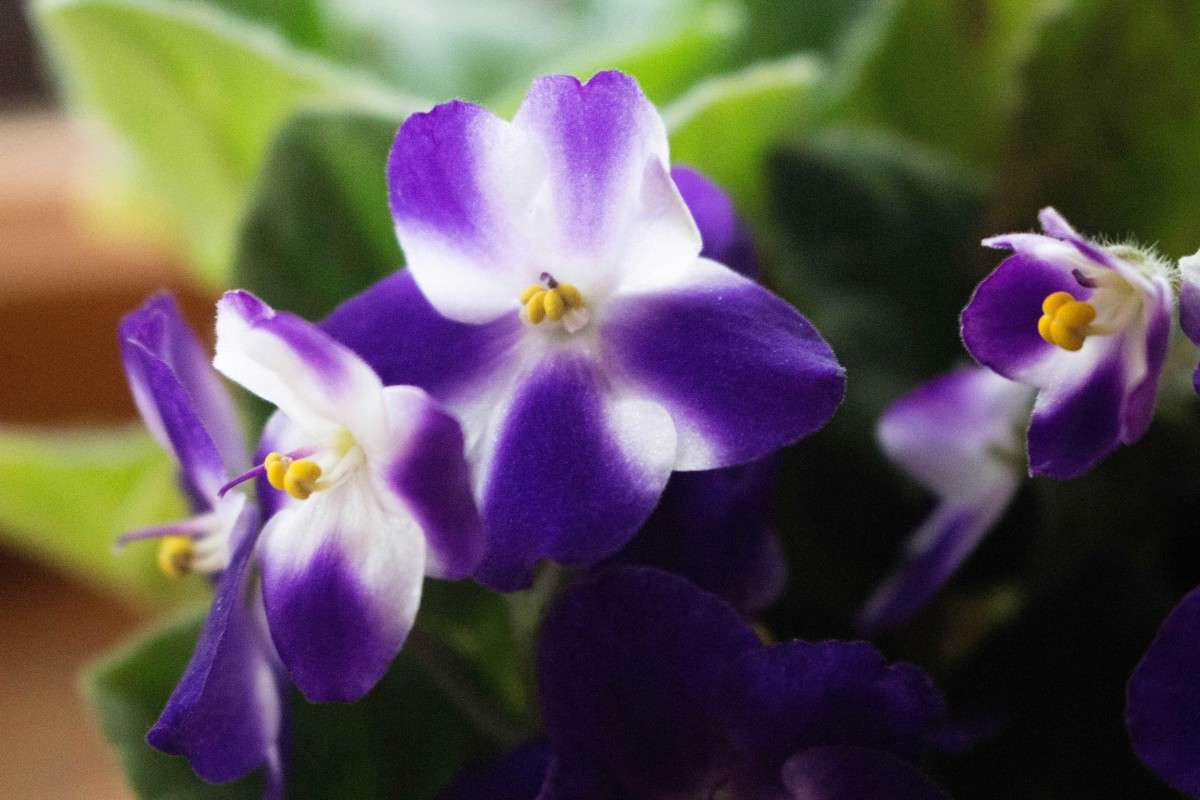 ������ ����� ��������� ���������� �� PhotoGeek.ru #������ ��� ������� #����� ��������������