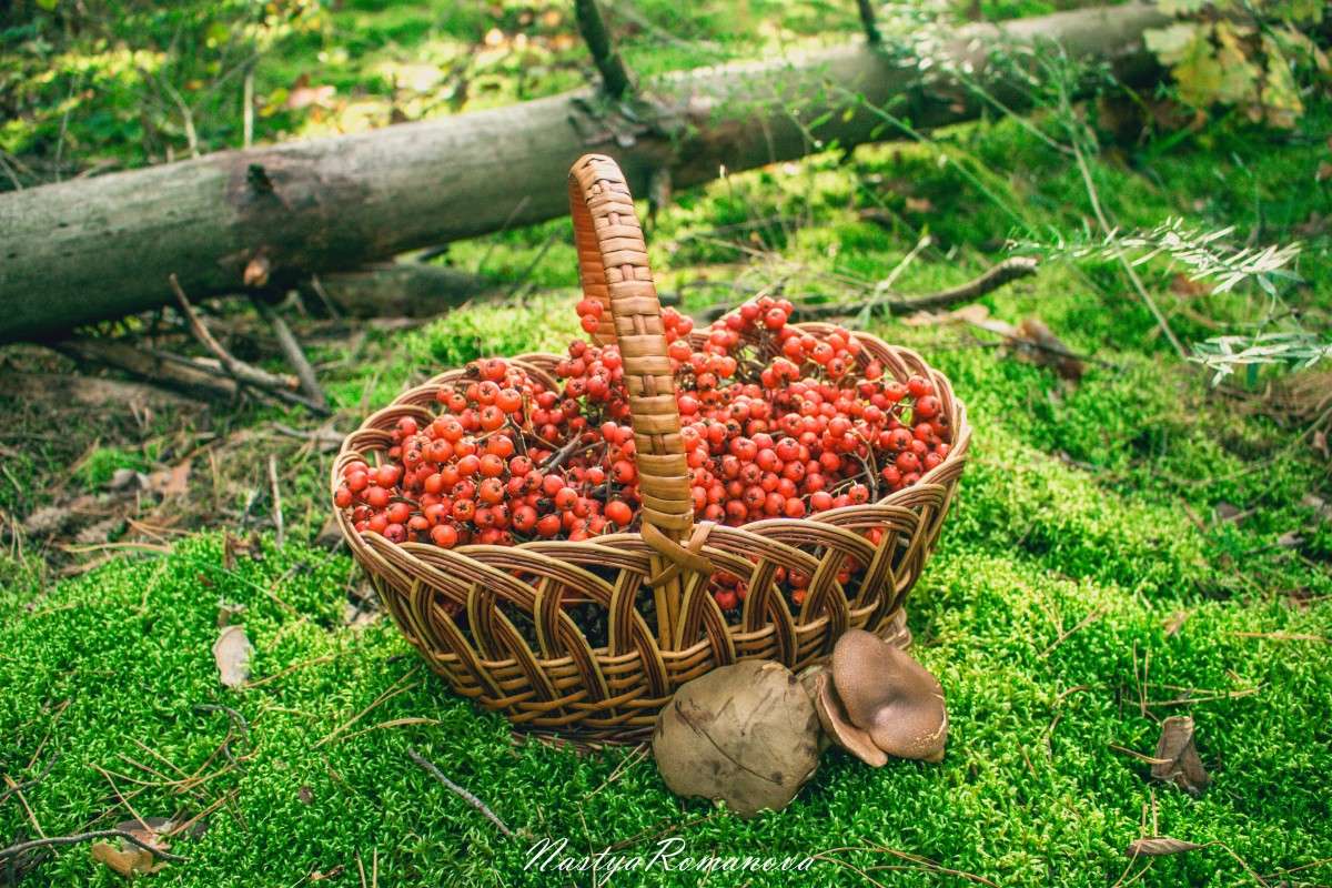 ������� ���� ����� ��������� ���������� �� PhotoGeek.ru #������ ��� ������� #����� �������������� #����� ��������