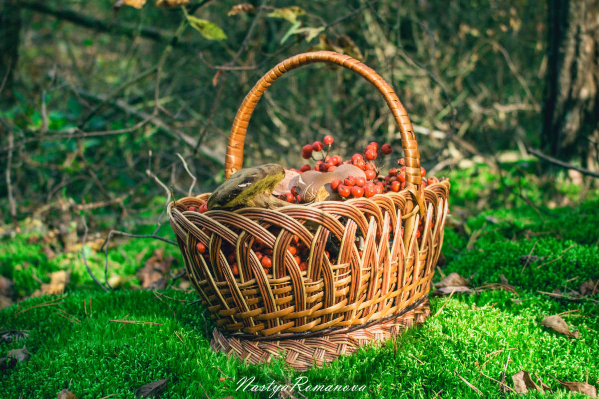 ... ����� ��������� ���������� �� PhotoGeek.ru #������ ��� ������� #����� �������������� #����� ��������