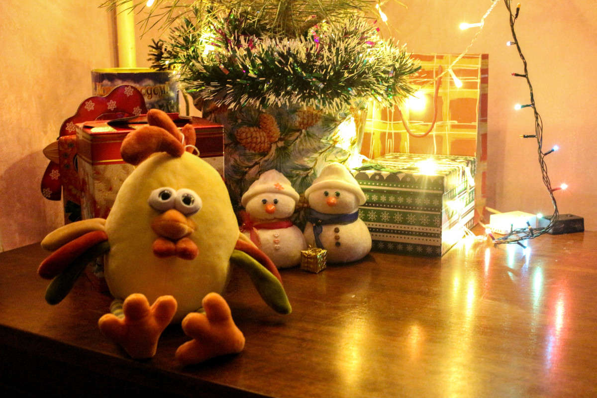 ������ ���� ����� ��������� ���������� �� PhotoGeek.ru #�������� ����������