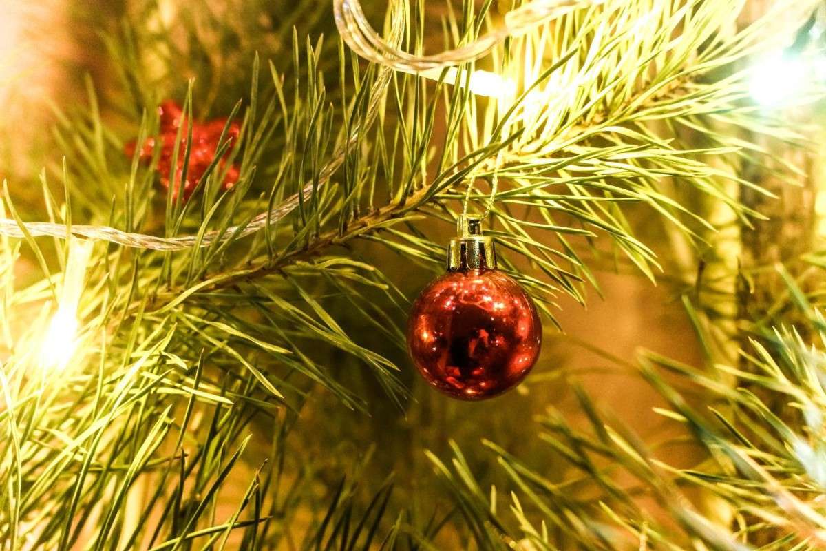 ����� ����� ��������� ���������� �� PhotoGeek.ru #�������� ����������