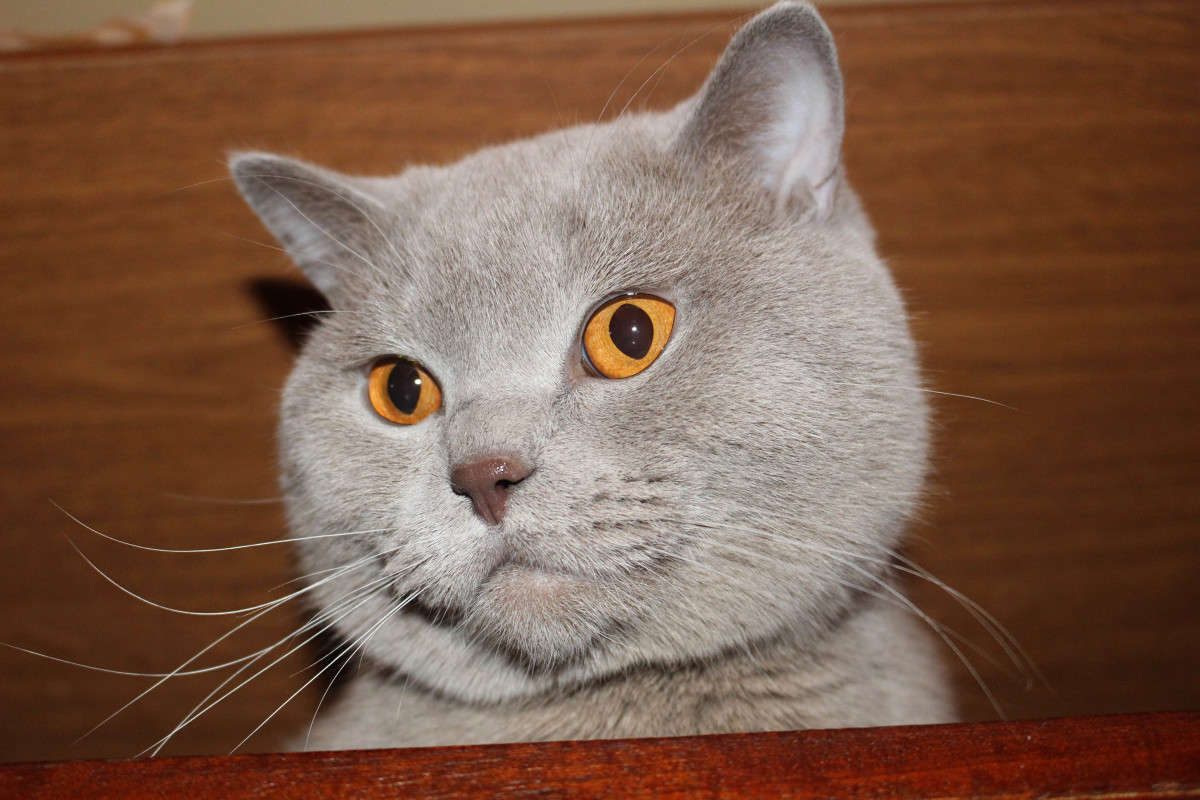 ������� ����� ��������� ���������� �� PhotoGeek.ru #�������� ��� #������� #�������� ���