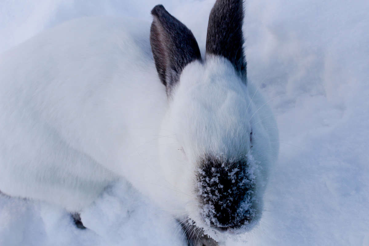 ������� ��� ����� ��������� ���������� �� PhotoGeek.ru #�������� ��� #�������