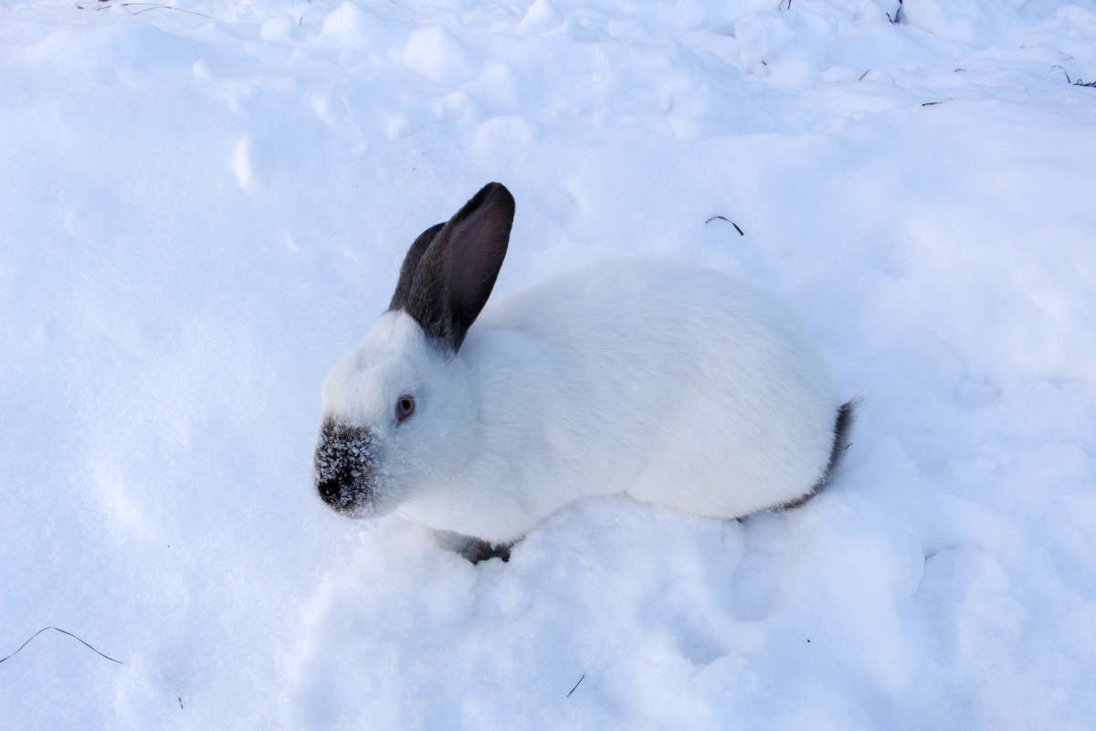 ˸�� ����� ��������� ���������� �� PhotoGeek.ru #�������� ���