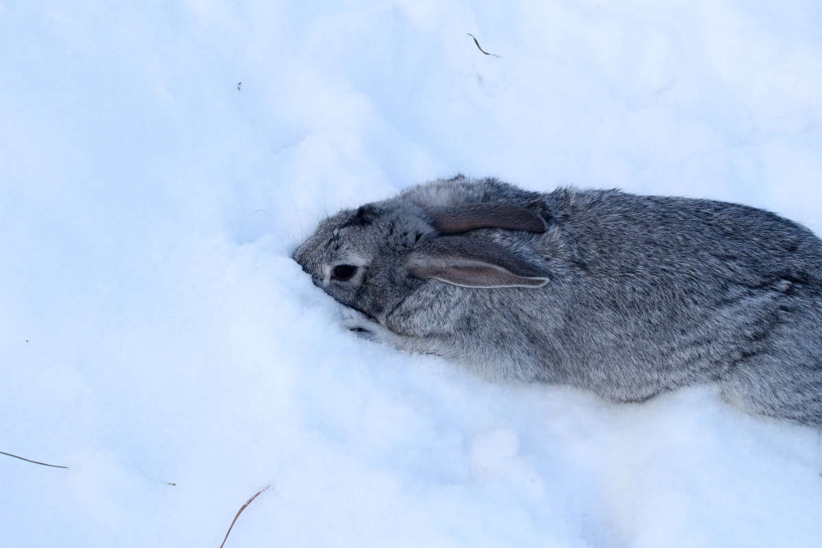 ��������� ����� ��������� ���������� �� PhotoGeek.ru #�������� ���