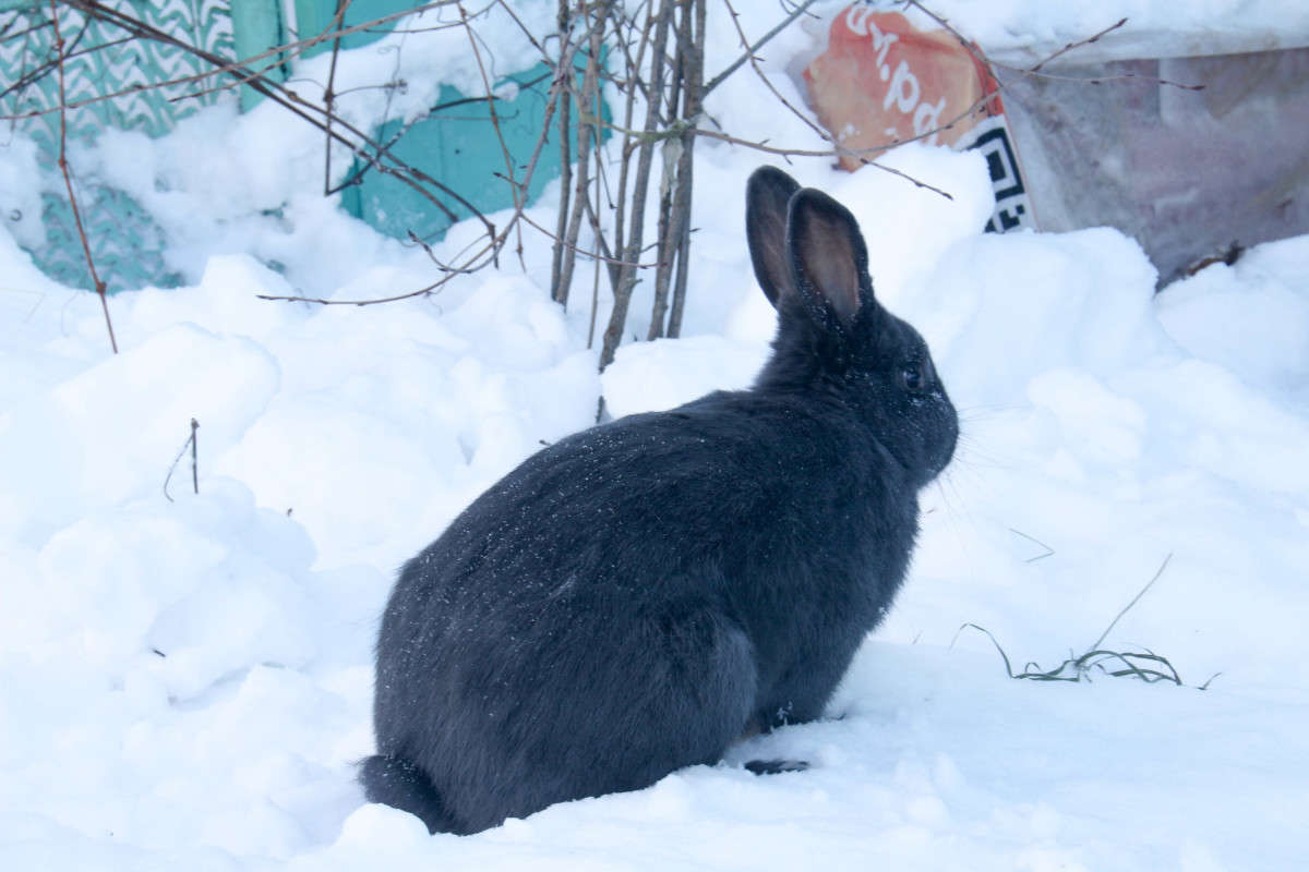 ������� ����� ��������� ���������� �� PhotoGeek.ru #�������� ���