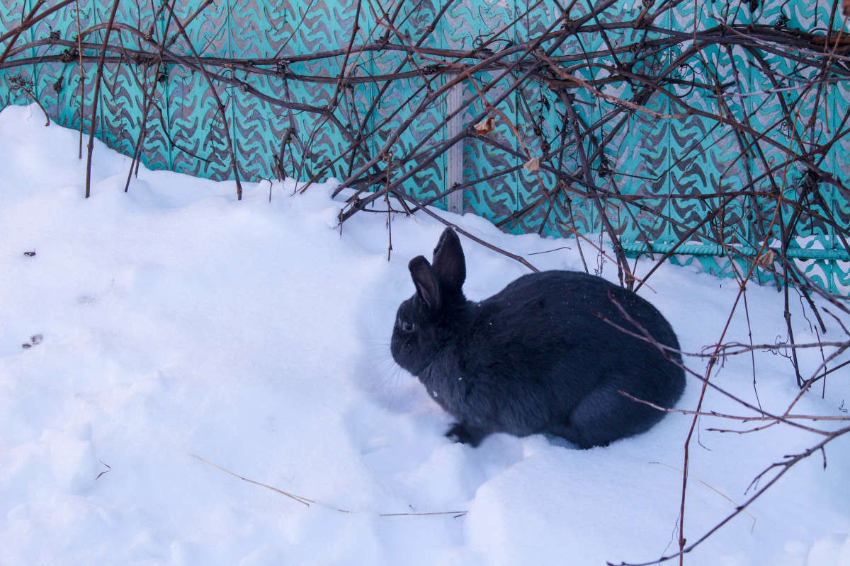 ������� ����� ��������� ���������� �� PhotoGeek.ru #�������� ���