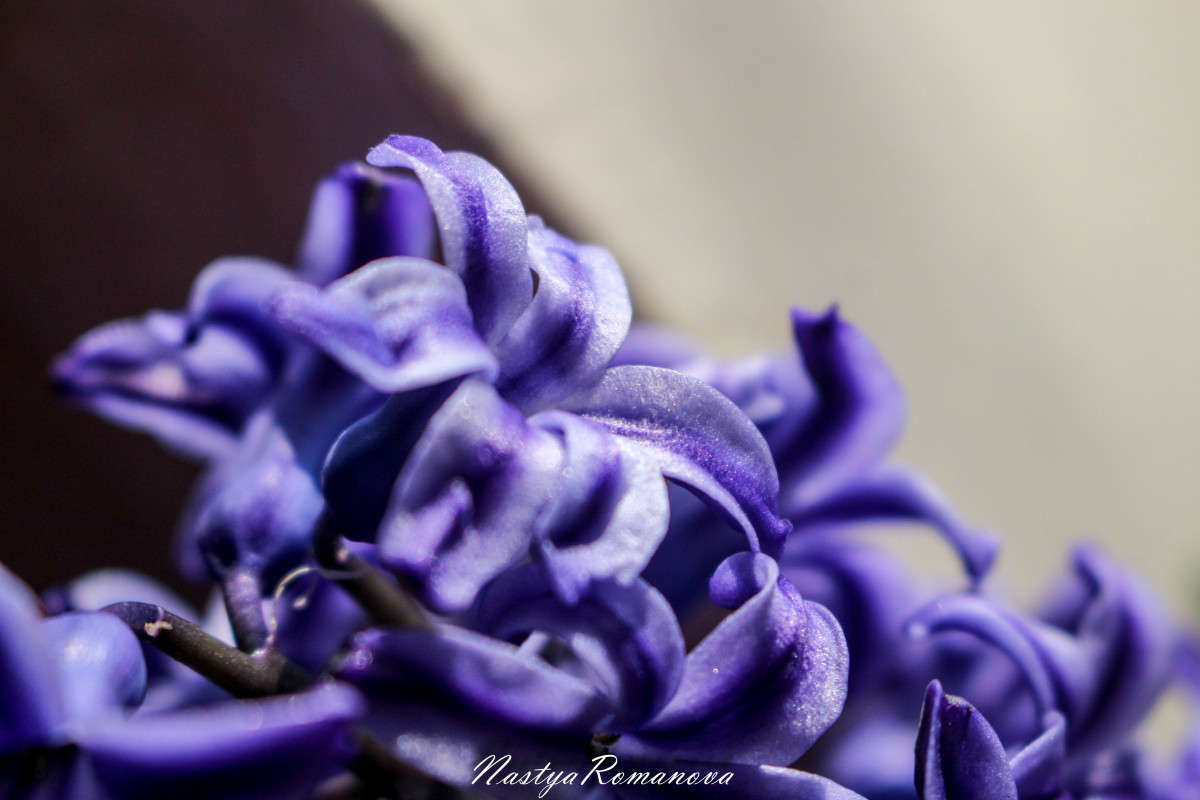 ... ����� ��������� ���������� �� PhotoGeek.ru #�����