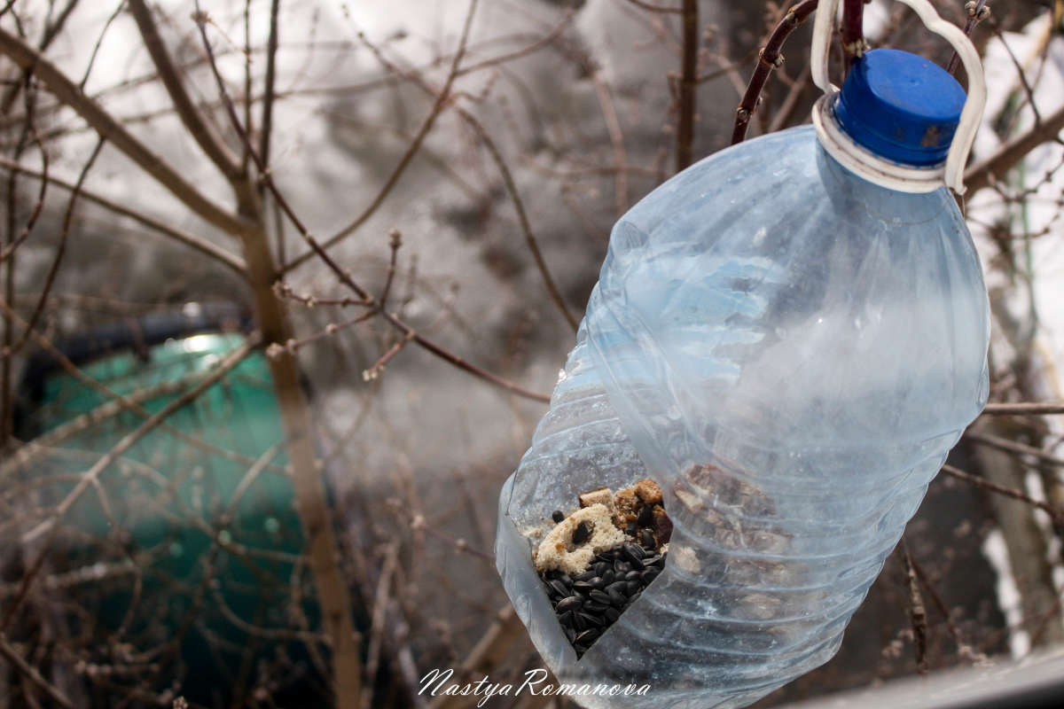 �������� ����� ��������� ���������� �� PhotoGeek.ru #���������