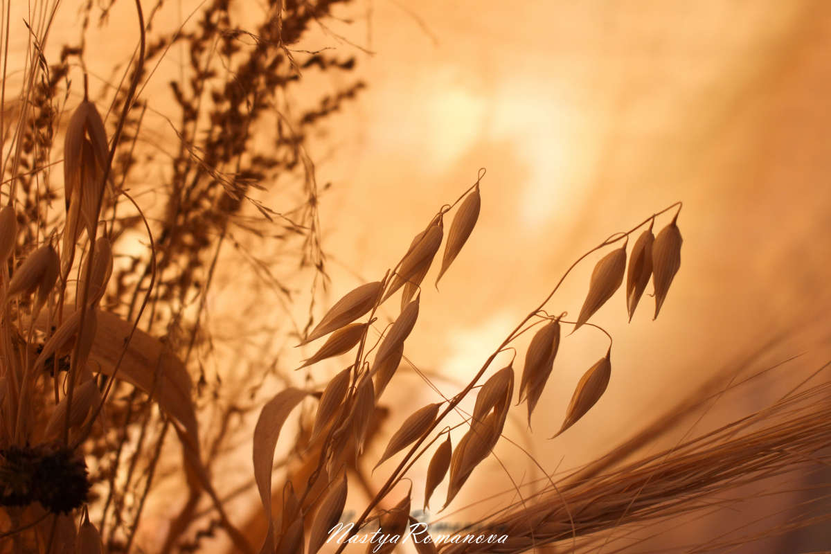 ������������ ������ ����� ��������� ���������� �� PhotoGeek.ru #�������� ����������