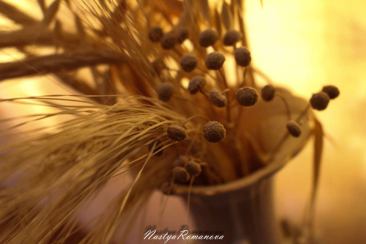 ... ����� ��������� ���������� �� PhotoGeek.ru #�������� ����������