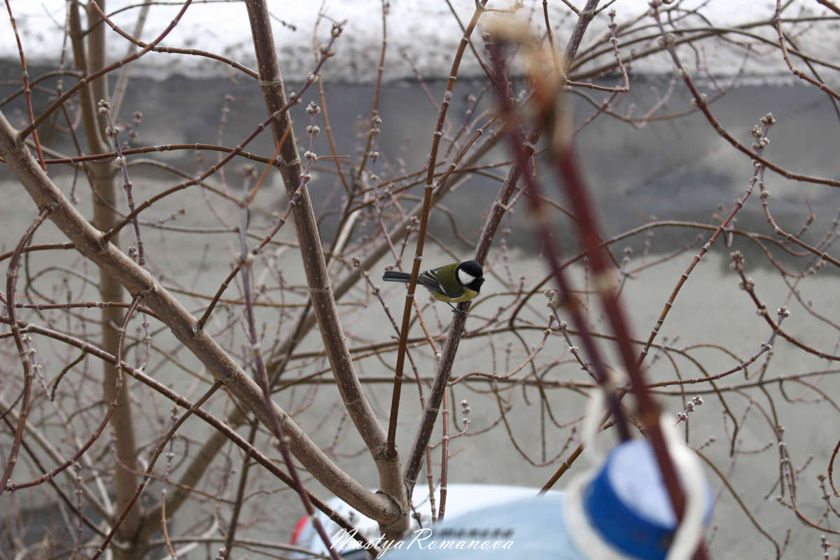 ������� ����� ��������� ���������� �� PhotoGeek.ru #�������� ��� #����� ��� ��� ���������