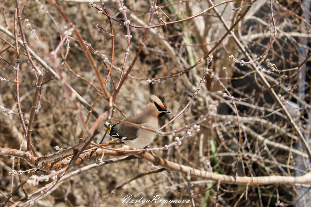 ������������ � ����� ��������� ����� ��������� ���������� �� PhotoGeek.ru #�������� ��� #����� ��� ��� ���������