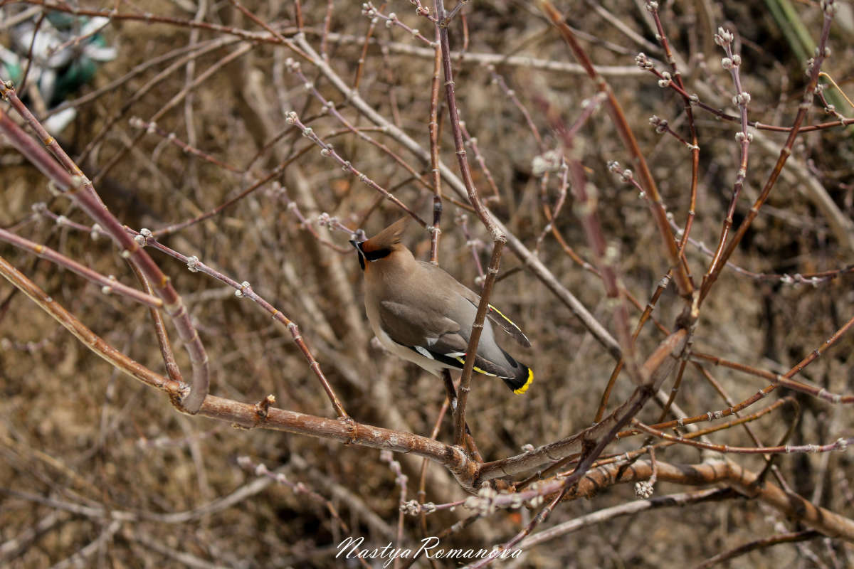 ���������� ����� ��������� ���������� �� PhotoGeek.ru #�������� ��� #����� ��� ��� ���������