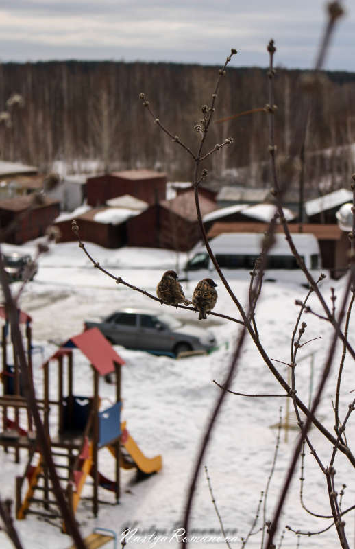 ��� ������ ����� ��������� ���������� �� PhotoGeek.ru #�������� ��� #����� ��� ��� ���������