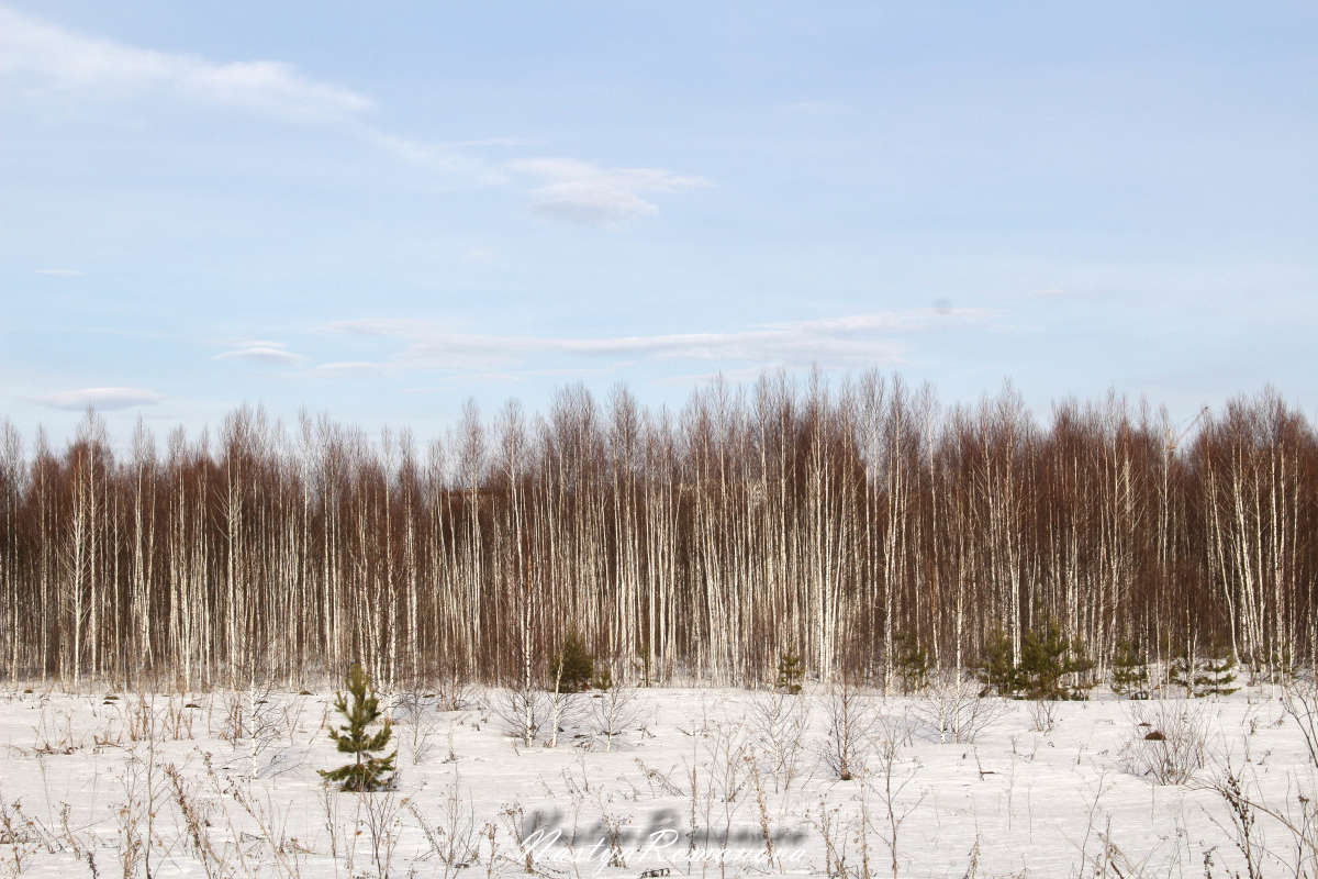 ������� ����� ��������� ���������� �� PhotoGeek.ru #������ ��� ������� #����� ��������