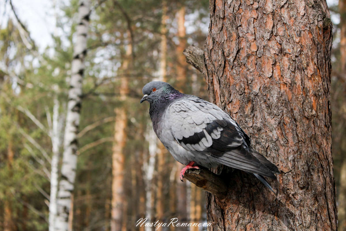 ������ ����� ��������� ���������� �� PhotoGeek.ru #�������� ���