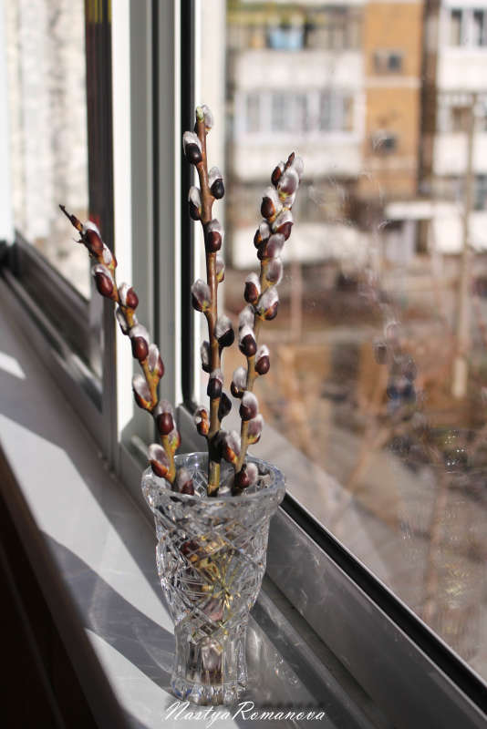 ����� ����� ��������� ���������� �� PhotoGeek.ru #��������� #�������������