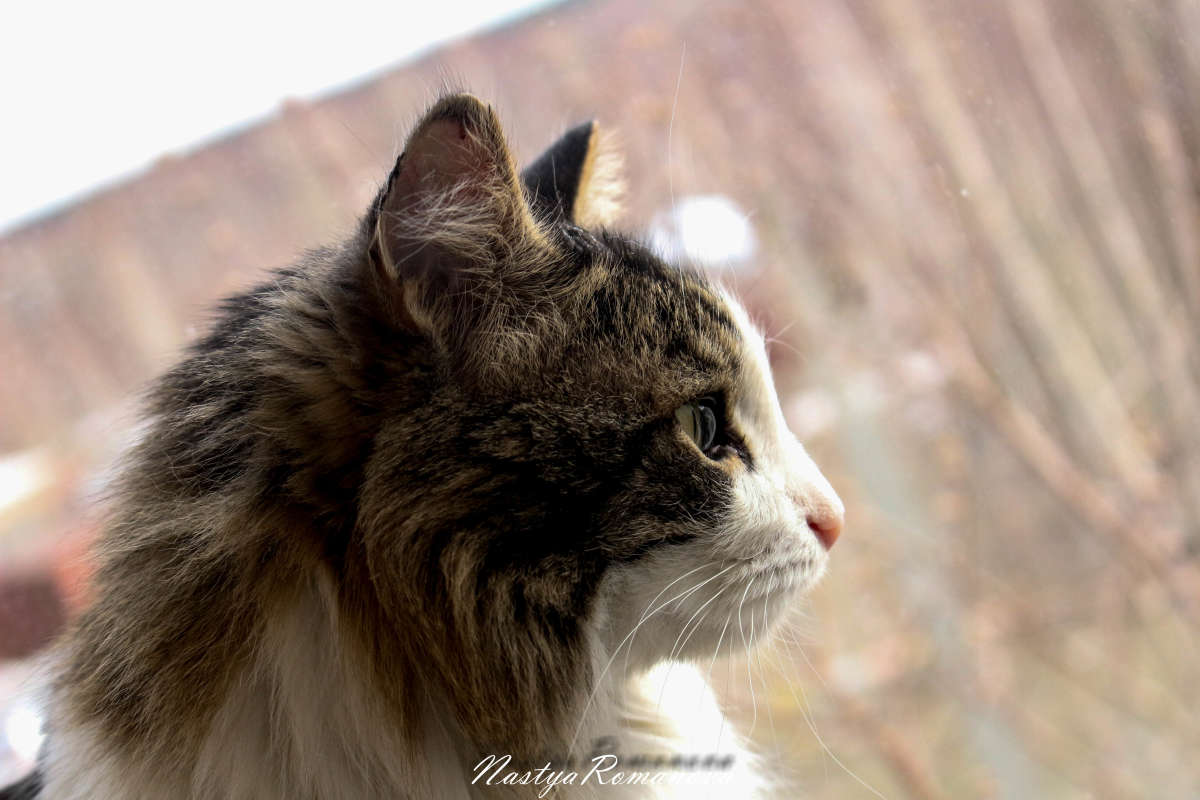 ������ ����� ��������� ���������� �� PhotoGeek.ru #�������