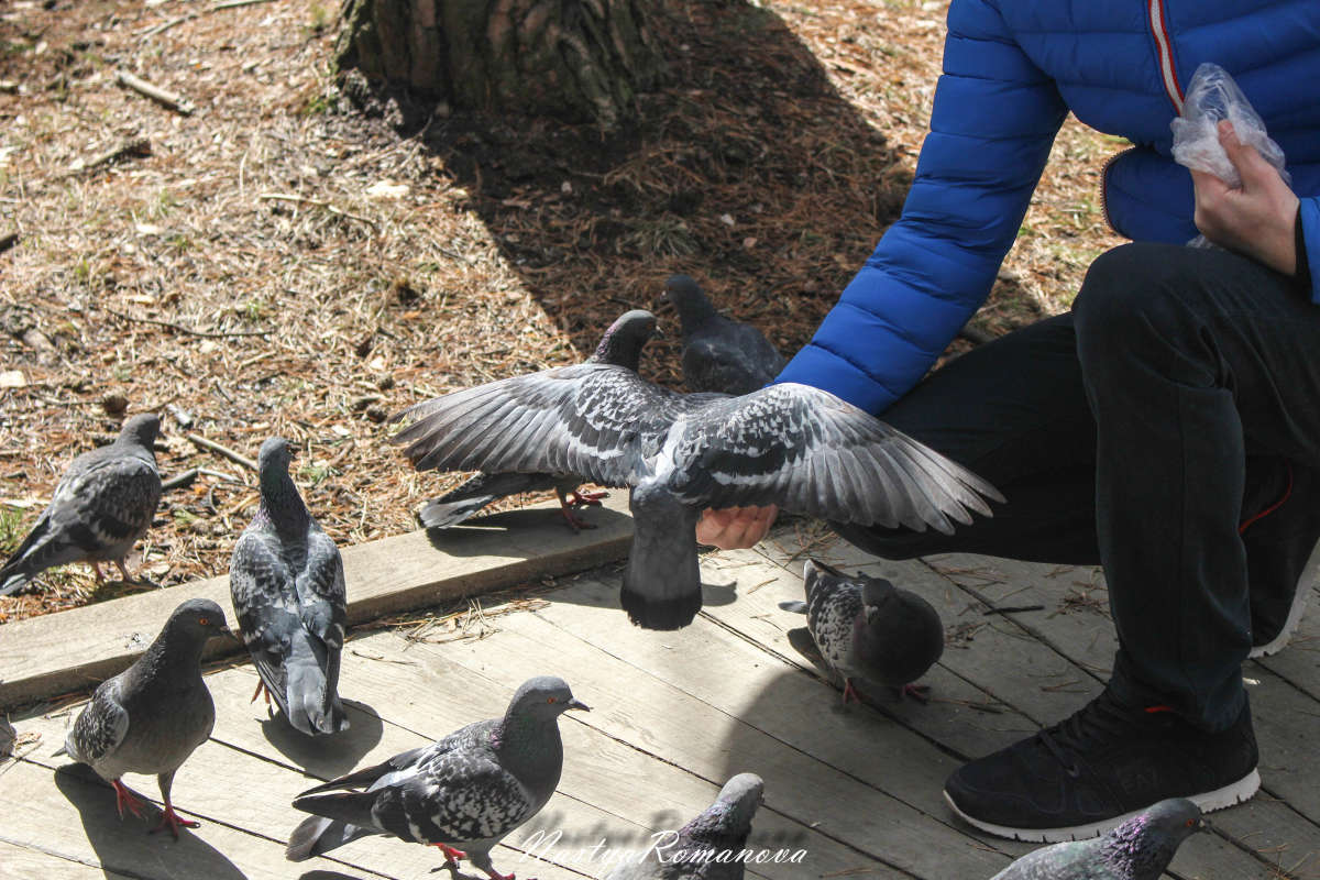 �������� ����� ��������� ���������� �� PhotoGeek.ru #�������� ���