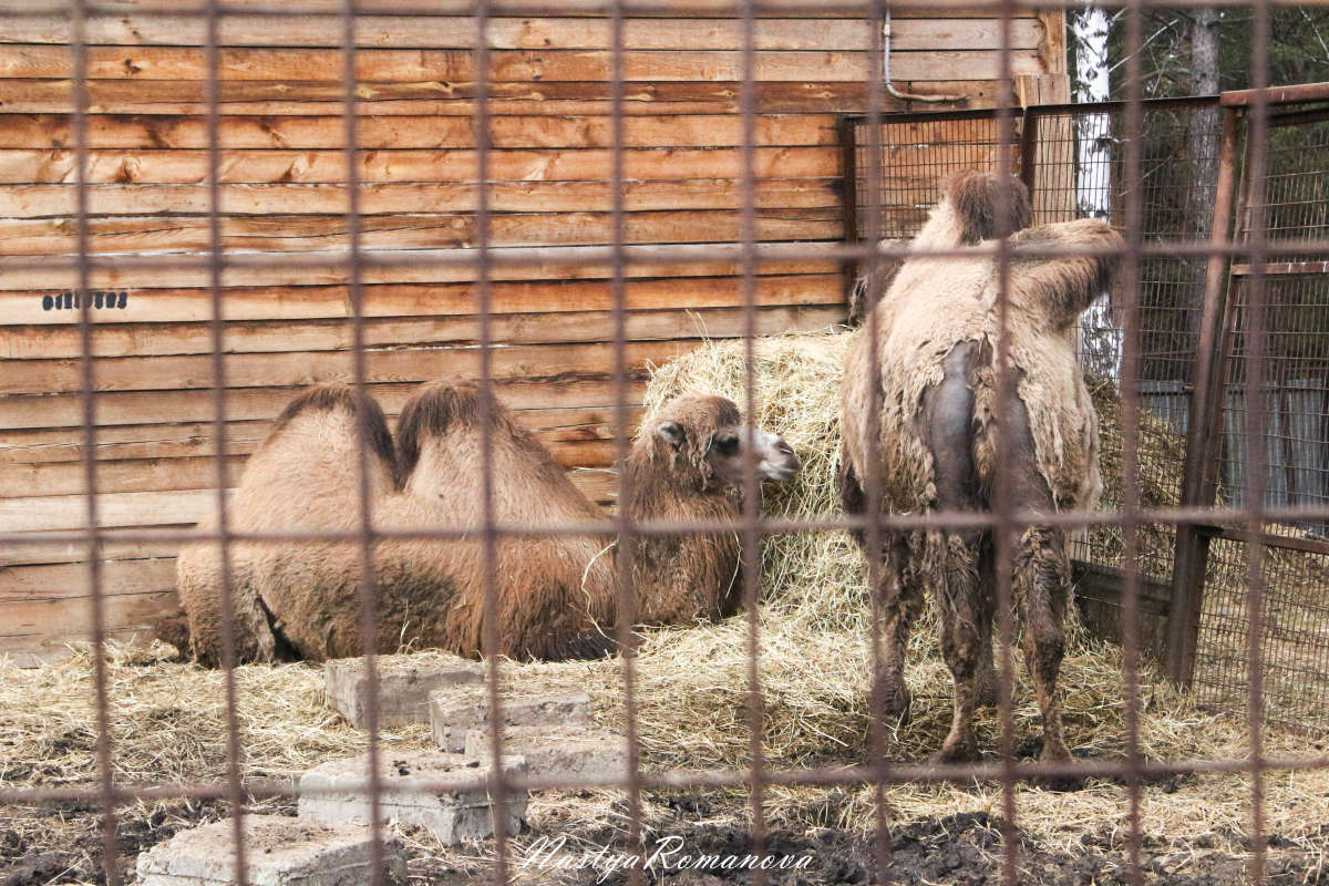 ��������� ����� ��������� ���������� �� PhotoGeek.ru #�������� ���