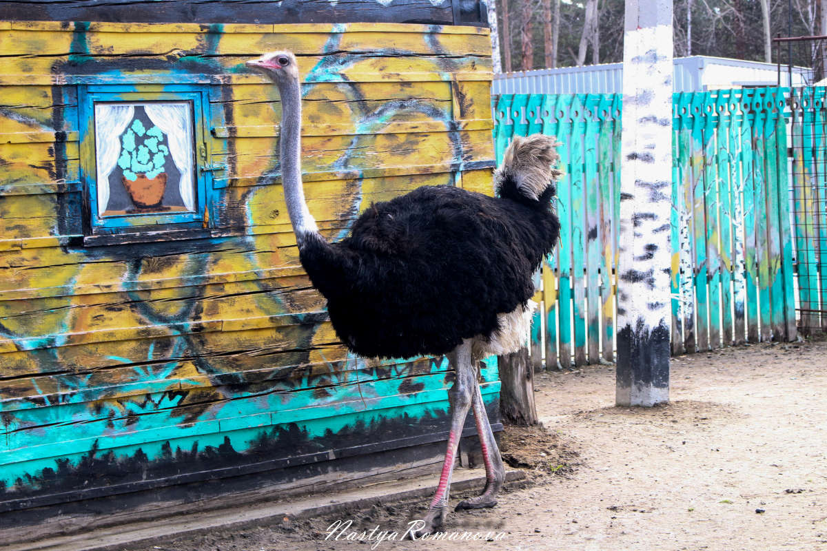 ������� ����)))) ����� ��������� ���������� �� PhotoGeek.ru #�������� ���