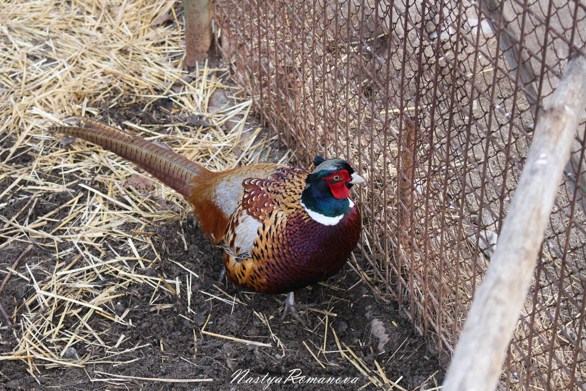 ����� ����� ��������� ���������� �� PhotoGeek.ru #�������� ���