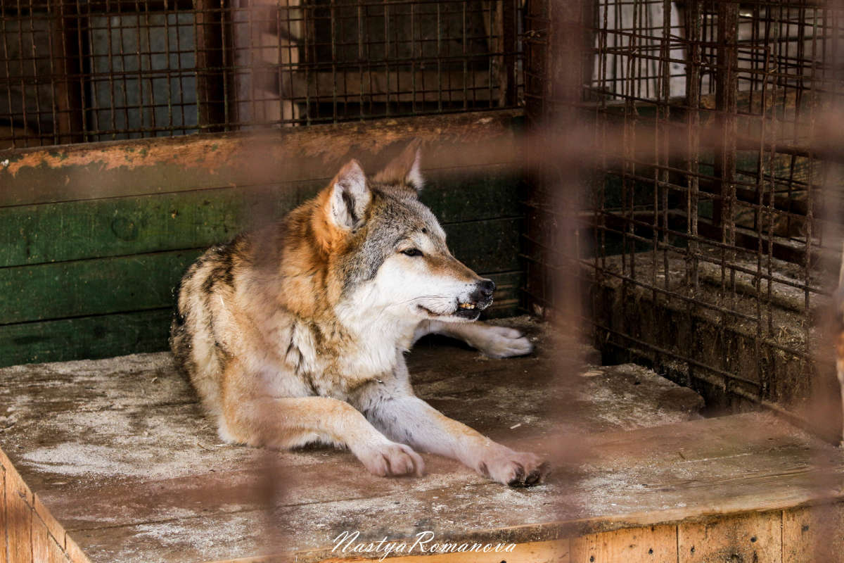 ���� ����� ��������� ���������� �� PhotoGeek.ru #�������� ���