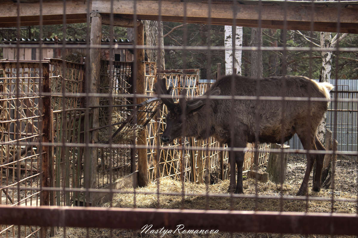 ������� ����� ��������� ���������� �� PhotoGeek.ru #�������� ���