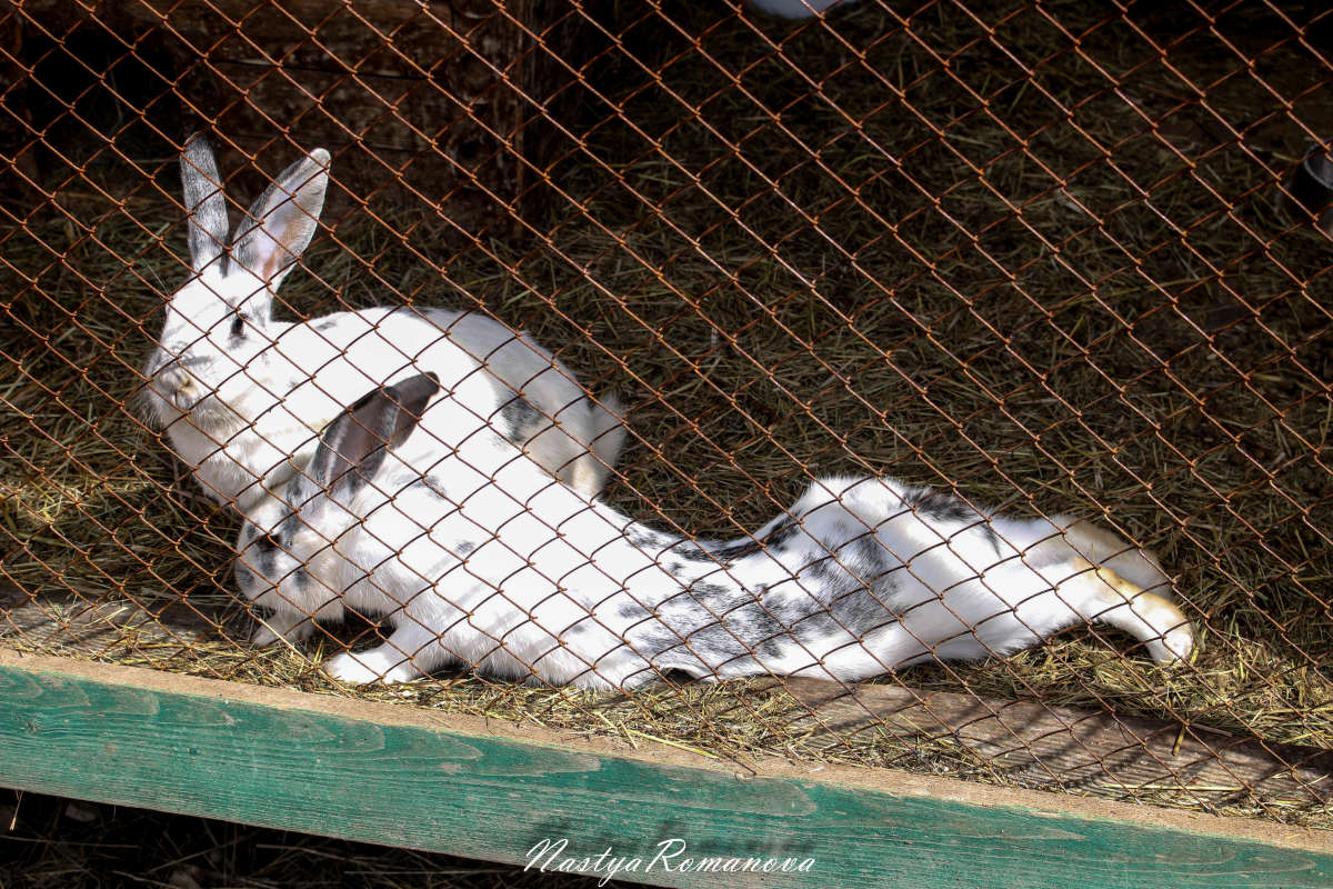 ���������)) ����� ��������� ���������� �� PhotoGeek.ru #�������� ���