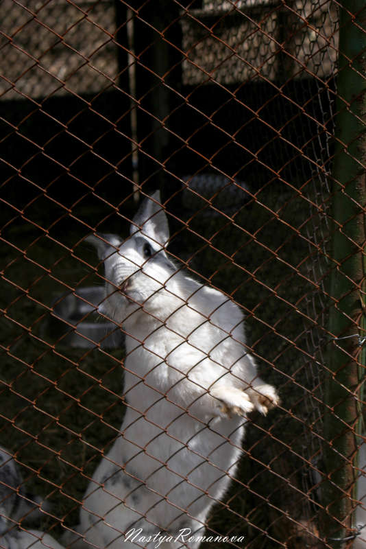 ������ ����� ��������� ���������� �� PhotoGeek.ru #�������� ���