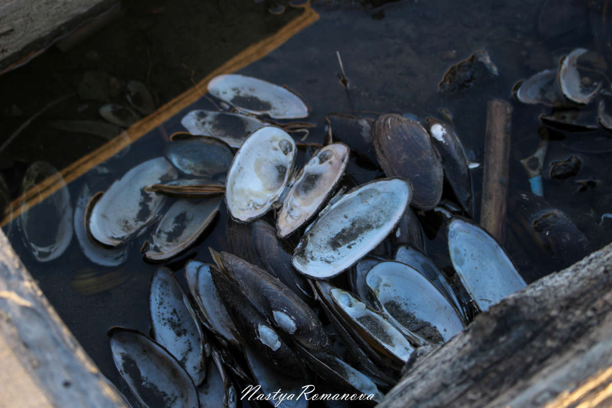 ��� �� ��������))) ����� ��������� ���������� �� PhotoGeek.ru #���������