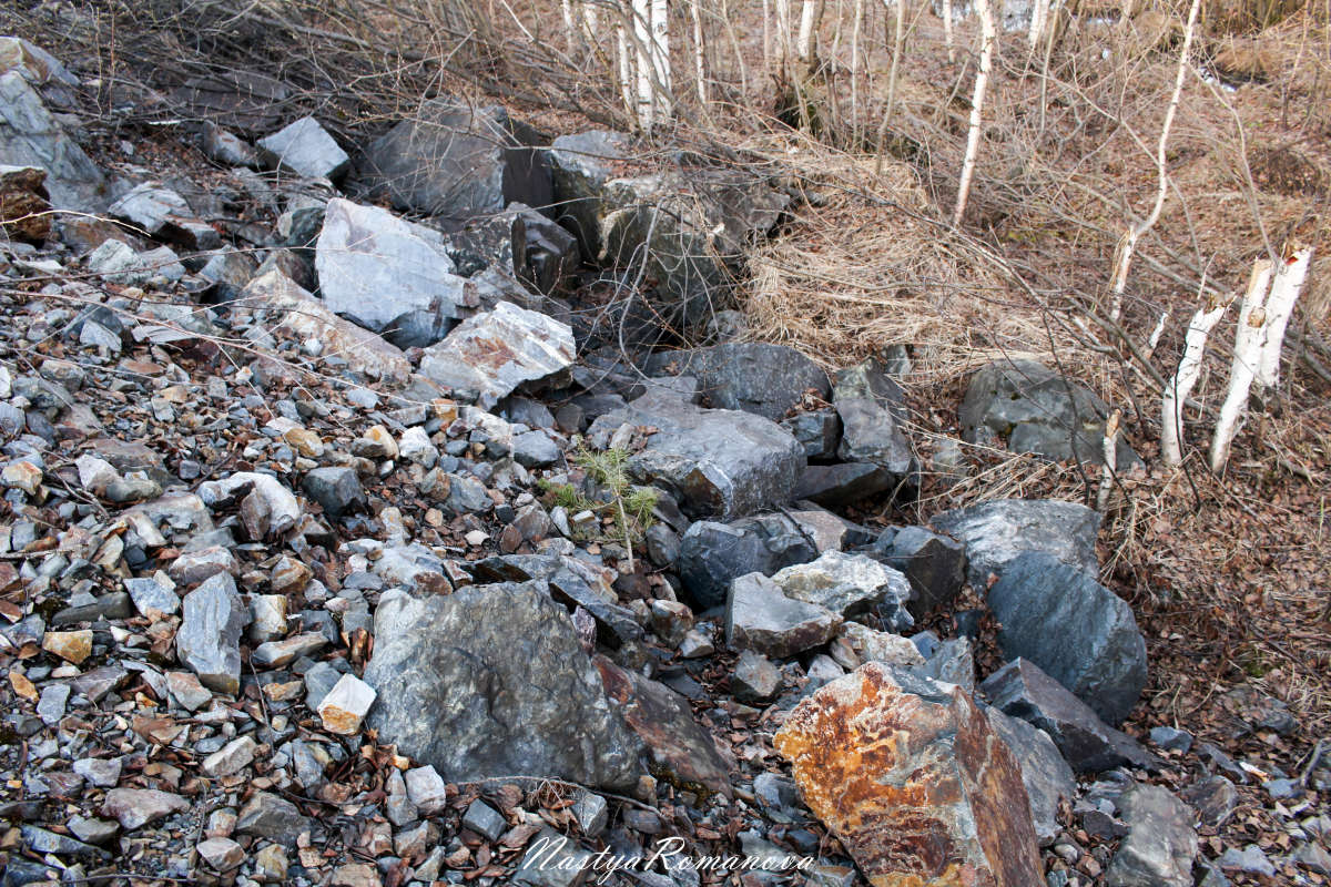 ��������� ����� ����� ��������� ���������� �� PhotoGeek.ru #������ ��� �������