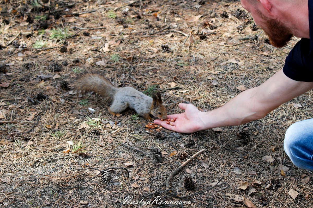 ������ ������ ����� ��������� ���������� �� PhotoGeek.ru #�������� ���